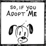 In a case of remarkably perfect timing, this was the Mutts Comic strip that was published the day after we found out about Badger's arthritic knee, malignant tumors, and discussed end of life planning with the vet.