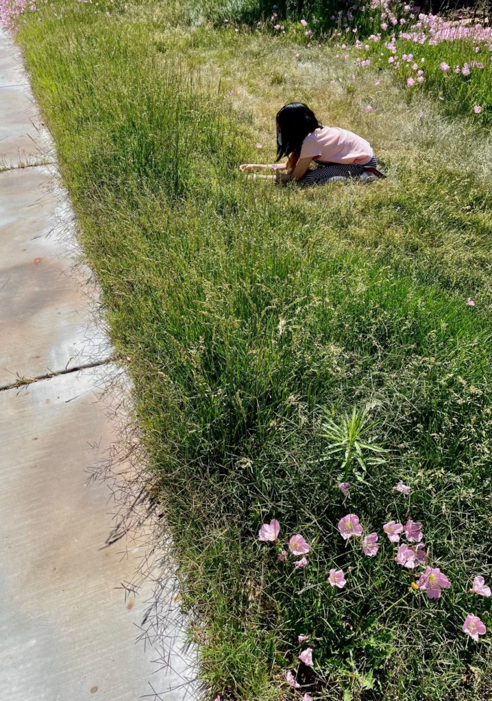 A girl crouched in a wildly overgrown lawn with pink weeds all around the edges.